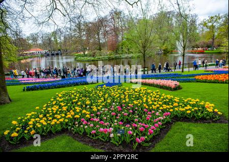 Tulipani si vedono smaltiti nella forma di un enorme tulipano. Keukenhof è anche conosciuto come il Giardino d'Europa, uno dei più grandi giardini fioriti del mondo, e si trova a Lisse, nei Paesi Bassi. Oltre ai milioni di tulipani, narcisi e giacinti nel parco, il fiore all'interno dei padiglioni è diventato più grande e più bello. Fino al 14 maggio 2023 si prevede che oltre 1 milioni di persone provenienti da tutto il mondo visiteranno la mostra. Keukenhof contribuisce in tal modo in modo in misura considerevole ai settori del turismo e della floricoltura olandesi. (Foto di Ana Fernandez/SOPA Images/Sipa USA) Foto Stock