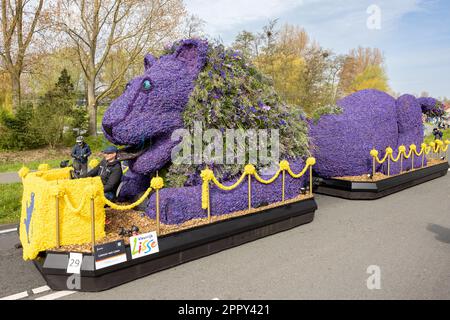 Noordwijk, Paesi Bassi - 22 aprile 2023: Galleggiante colorato che mostra lo stemma di Lisse con fiori durante il Bollenstreek Bloemencorso drivi Foto Stock