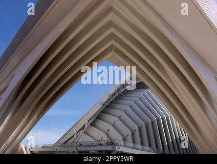 EL PALACIO DE EXPOSICIONES Y CONGRESOS OVIEDO, SPAGNA Foto Stock