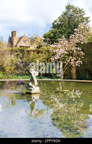 Primavera a Hidcote Manor Garden nel villaggio Cotswold di Hidcote Bartrim, Gloucestershire, Inghilterra UK Foto Stock