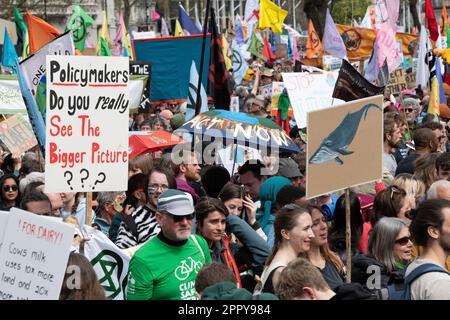 Grandi folle si radunano per un raduno di fronte all'Abbazia di Westminster, Londra, il secondo giorno delle proteste climatiche "The Big One" della ribellione dell'estinzione. Foto Stock