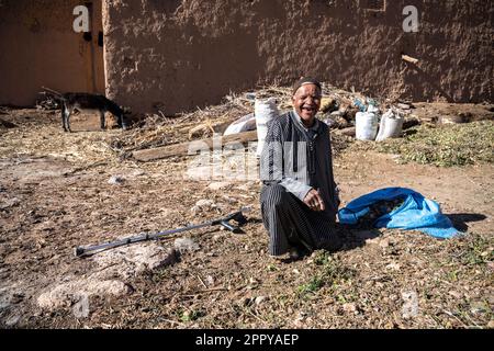 Il vecchio berbero vestito con djellaba che raccoglie le verdure. Foto Stock