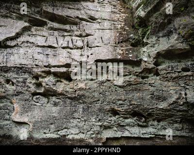 Piccolo sentiero del Grand Canyon nella Shawnee National Forest Foto Stock