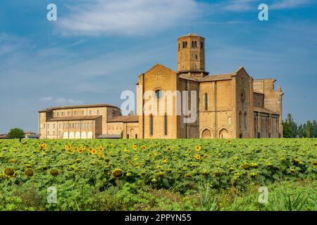 Escursione in bicicletta sulla riva destra del po: Valserena o abbazia di San Martino dei Bocci, comunemente ma erroneamente conosciuta come la Certosa Foto Stock