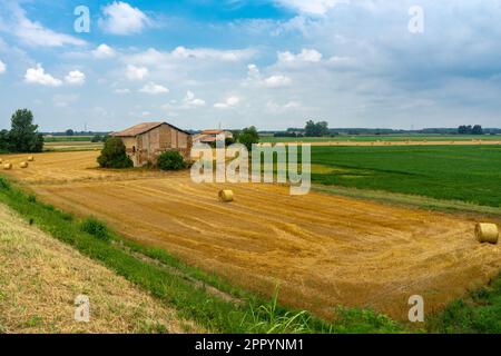 Escursione in bicicletta sulla riva destra del po Foto Stock