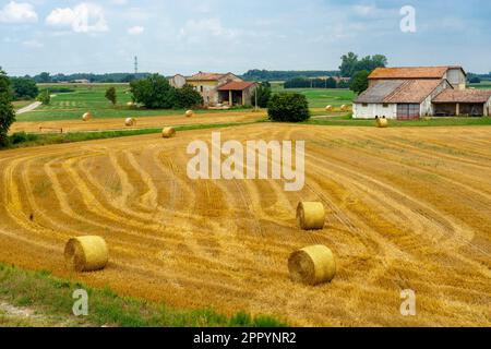 Escursione in bicicletta sulla riva destra del po Foto Stock