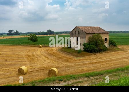 Escursione in bicicletta sulla riva destra del po Foto Stock