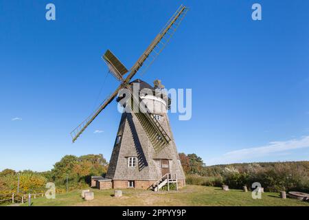 Mulino di smock macinato, tipo olandese di mulino a vento a Benz, comune dell'isola di Usedom, Vorpommern-Greifswald distretto, Meclemburgo-Vorpommern, Germania Foto Stock