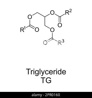 Trigliceridi, anche triacilglicerolo o triacilgliceride struttura chimica Illustrazione Vettoriale