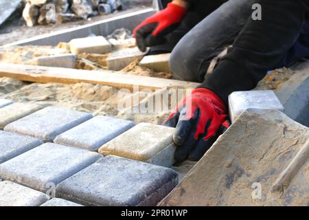 Finitrice master in guanti rossi. L'uomo posa le pietre di pavimentazione in strati. Pavimentazione del sentiero in mattoni da giardino da parte di un lavoratore professionista. Mani di lavoratore che installa calcestruzzo Foto Stock