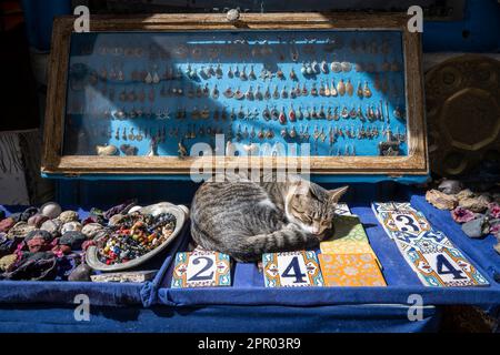 Gatto che dorme sui souvenir in un negozio nella medina di Essaouira. Foto Stock