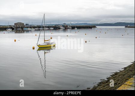 Piccola barca a vela gialla ormeggiata e riflessa nelle acque calme di Granton Harbour, Firth of Forth, Edimburgo, Scozia Foto Stock