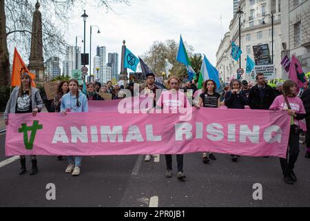 Gruppo attivista 'Animal Rising' marcia verso il parlamento in occasione della Giornata della Terra, il Grande, la ribellione di estinzione con un banner di protesta rosa. Londra, aprile. Foto Stock