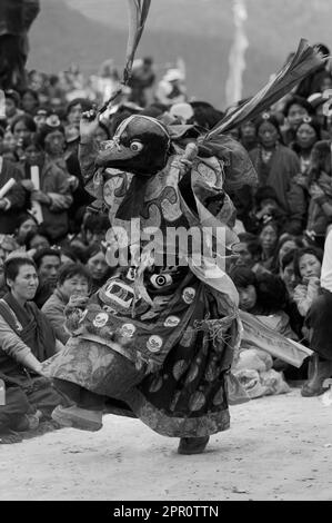 Balli in corvo con gufo per mostrare enemys alla pace al Monlam Chenpo, Katok Dorjeden Monastery - Kham, (Tibet), Sichuan, Cina Foto Stock