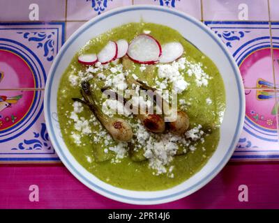 Tipico piatto messicano, enchiladas verdi a base di tortillas rosolate in olio imbevute in salsa verde con crema, formaggio e cipolle chambray e ravanelli Foto Stock