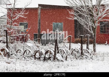 Vecchi tosaerba da fieno trainati da cavalli in una fattoria Amish nel Michigan centrale, Stati Uniti [Nessun rilascio di proprietà; solo licenza editoriale] Foto Stock