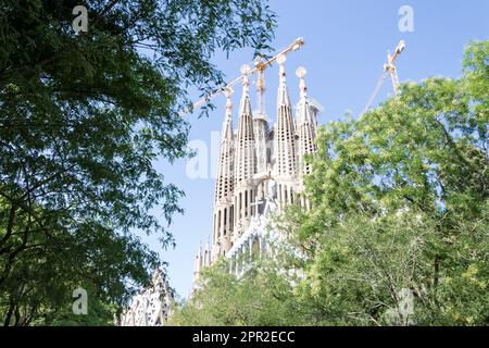 Particolare architettonico della Sagrada Família, la più grande chiesa cattolica incompiuta del mondo situata a Eixample, progettata da Antoni Gaudí Foto Stock