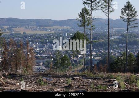 Impressionen vom Biggesee im Kreis Olpe Foto Stock