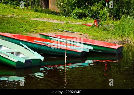 Belle barche multicolore in legno con remi sulla spiaggia per passeggiate lungo il fiume, il lago, il mare, l'oceano in un parco naturale sulla riva. Foto Stock