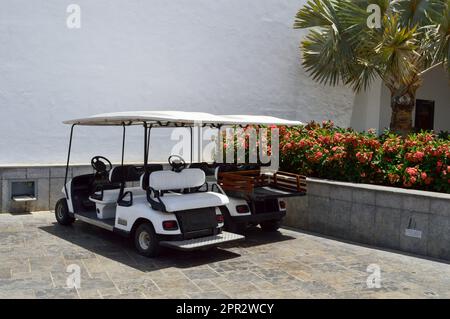 Le auto da golf elettriche bianche sono parcheggiate in piccoli veicoli elettrici con le tende dal sole in un paese caldo tropicale esotico resort di villeggiatura del sud. Foto Stock