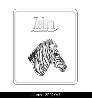 Zebra. Mano bozzetto illustrazione isolati su sfondo bianco Illustrazione Vettoriale