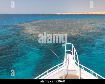 Il naso, la parte anteriore dello yacht bianco, la barca, la nave in piedi sulla maschera, parcheggio, ancoraggio in mare, l'oceano con acqua blu con corallo re Foto Stock