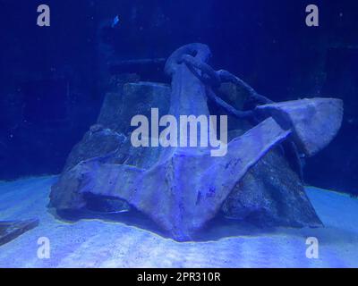 Una catena di ancoraggio di una nave da crociera cadde senza sosta causando danni ad una barriera corallina tropicale altrimenti sana. La caduta incauta dell'ancora è un ser Foto Stock