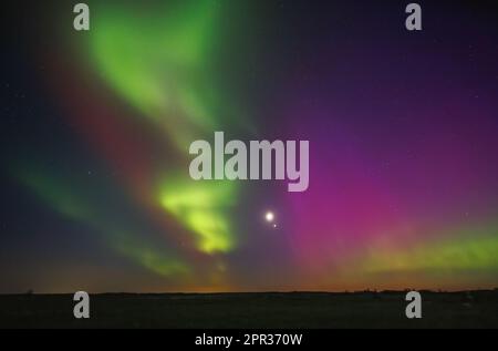 L'aurora boreale nel cielo notturno in Lituania Foto Stock