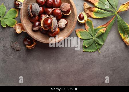 Castagne e foglie di cavallo su tavola grigia, giacitura piatta. Spazio per il testo Foto Stock