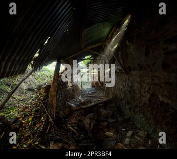 Si è rovesciata una baracca nei boschi, vicino a May Hill nel Gloucestershire, con la luce che arriva attraverso le pareti di pietra e il tetto di ferro ondulato di questa rovina. Foto Stock
