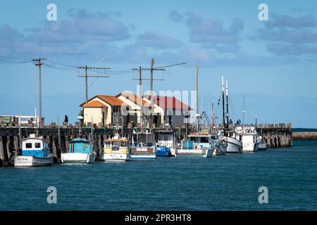 Barche da pesca ormeggiate lungo Holmes Wharf, porto di Oamaru, Nord Otago, Sud Isola, Nuova Zelanda Foto Stock