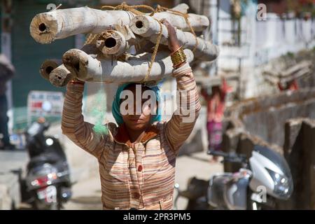 India, Dharamsala - 10 marzo 2018: Una bella giovane donna del popolo Gaddi è sulla testa di spessi gambi di bambù, moscata Foto Stock