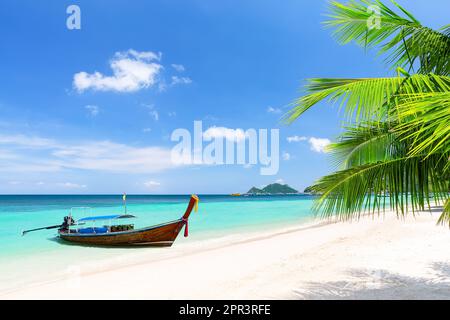 Albero di palma e barca a coda lunga sulla spiaggia tropicale di sabbia bianca nell'isola di Koh Tao, provincia di Surat Thani, Thailandia. Concetto di vacanza estiva. Bellissimo tropico Foto Stock