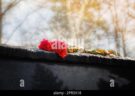 Un simbolo di memoria e di dolore. Due garofani sul monumento a coloro che hanno partecipato e sono morti in guerre e conflitti militari. Foto Stock