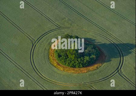 bollitore in campo paesaggio, vista aerea, Germania, Meclemburgo-Pomerania occidentale Foto Stock