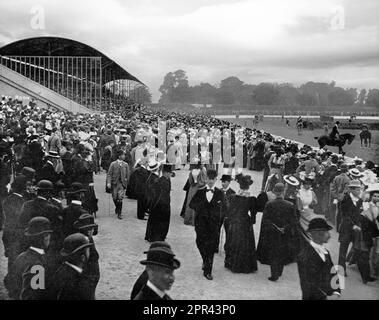 Una fotografia di fine '19th che presenta l'affollato Horse Show al R.D.S. (Royal Dublin Society) a Ballsbridge, Dublino, Irlanda. All'epoca l'aristocrazia e i militari utilizzarono l'occasione per acquistare cavalli irlandesi molto pregiati. Foto Stock