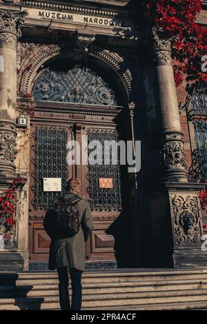 Soffitto fresco al Museo del Louvre, Parigi, Francia Foto Stock