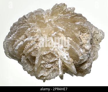 Rosa del Deserto - barite (solfato di bario) Foto Stock