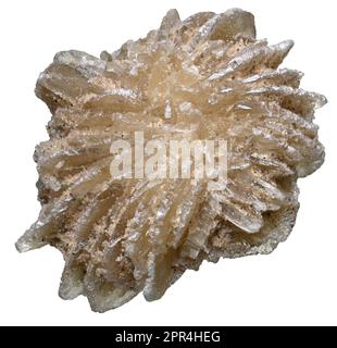 Rosa del Deserto - barite (solfato di bario) Foto Stock