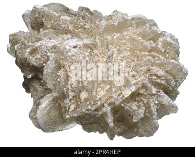 Rosa del Deserto - barite (solfato di bario) Foto Stock