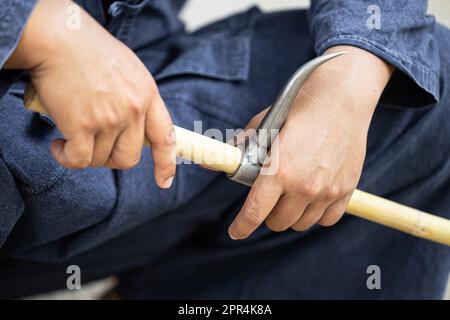 Allenatore di elefante o Mahout con Bull Hook Ankus strumento per il controllo ordine elefante selvatico Foto Stock