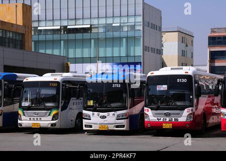 BUSAN, COREA DEL SUD - 31 MARZO 2023: Autobus al terminal degli autobus di Seobu nel quartiere di Sasang di Busan. Foto Stock