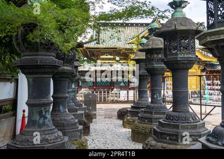 Pietra di stile giapponese e lanterne di cooper che conducono al Santuario di Ueno Tosho-GU honden e Karamon nel Parco di Ueno, Tokyo, Giappone. Il santuario fu costruito nel 1627 come mausoleo per gli shoguns Tokugawa. Foto Stock