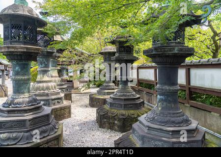 Pietra di stile giapponese e lanterne di cooper che conducono al Santuario di Ueno Tosho-GU honden e Karamon nel Parco di Ueno, Tokyo, Giappone. Il santuario fu costruito nel 1627 come mausoleo per gli shoguns Tokugawa. Foto Stock