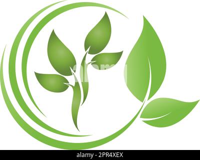 Pianta, foglie, vegan, natura, giardiniere, benessere, logo Illustrazione Vettoriale