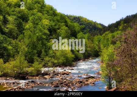 Il fiume Ocoee è una delle principali località di rafting sulle rapide della nazione. In tarda primavera ed estate attraverso la Gola di Ocoee ed è stato ospite del 1996 Olympi Foto Stock