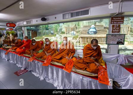 I monaci buddisti thailandesi eseguono un rituale di merito, in onore di “Lin Hui” e prosperano i partecipanti alla cerimonia in occasione del 7th° anniversario di morte di Lin Hui, gigante femminile Panda, che è scomparsi all'età di 21 anni e 7months anni nello Zoo di Chiang mai. “Lin Hui” il panda femminile che è un ambasciatore di buona volontà tailandese-cinese che la Cina ha inviato in Thailandia da 20 anni fa insieme ai panda maschi “Chuang Chuang” secondo i progetti di cooperazione alla ricerca e la conservazione dei panda. Foto Stock