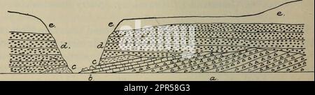 «Operazioni della Royal Society of New Zealand» (1905) Foto Stock