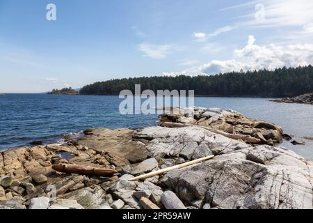 Rocky Shore sulla costa occidentale dell'Oceano Pacifico a Nanoose Bay. Natura sfondo Foto Stock