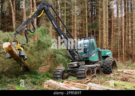 Macchina per la raccolta del legname abbattimento e lavorazione degli alberi di abete sitka in una piantagione forestale commerciale, Inverness-shire, Scozia, agosto 2007 Foto Stock